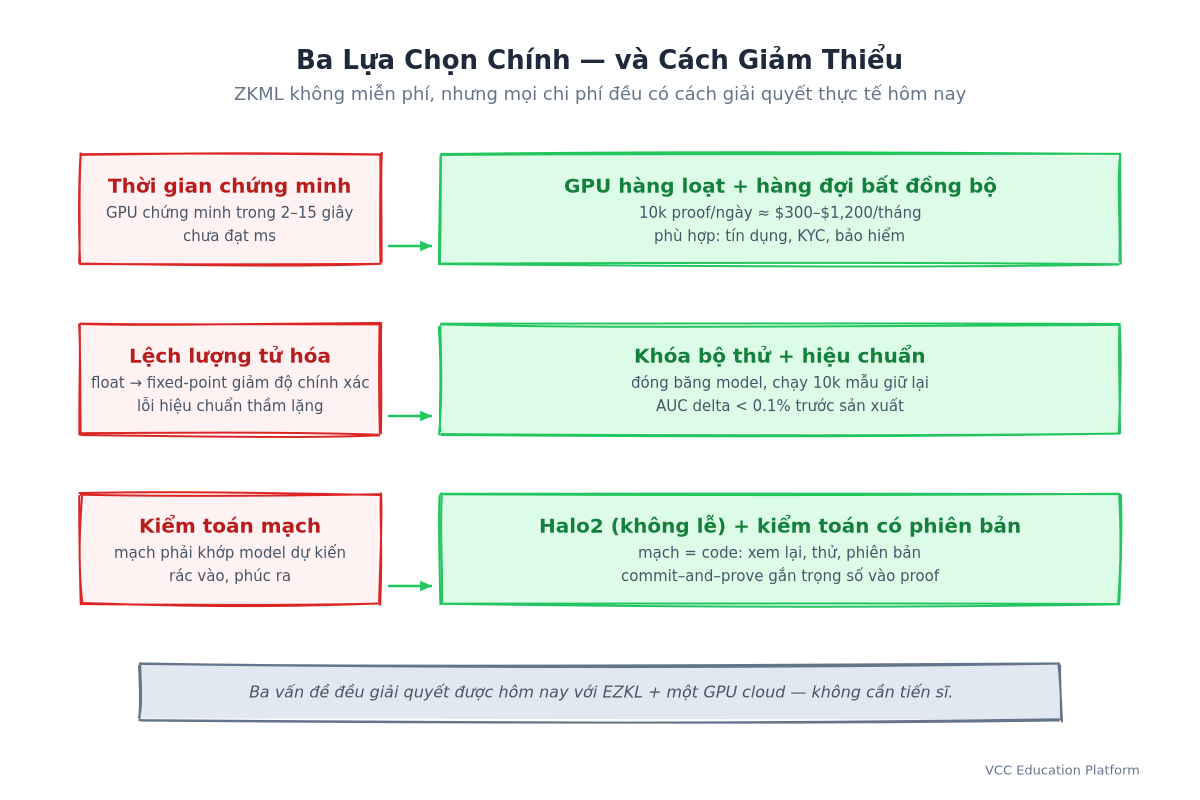 Ba Lựa Chọn Chính và Cách Giảm Thiểu