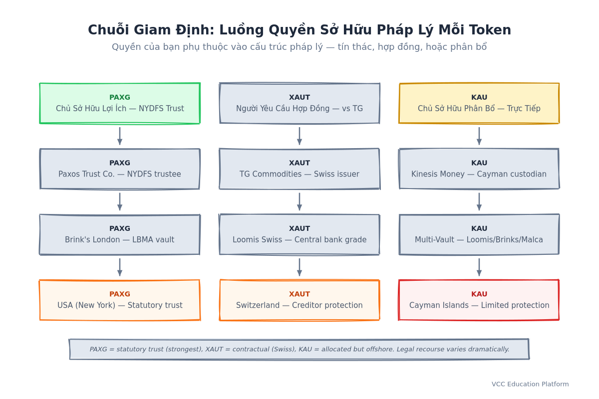 Sơ đồ chuỗi quản lý: Ai nắm giữ gì ở đâu