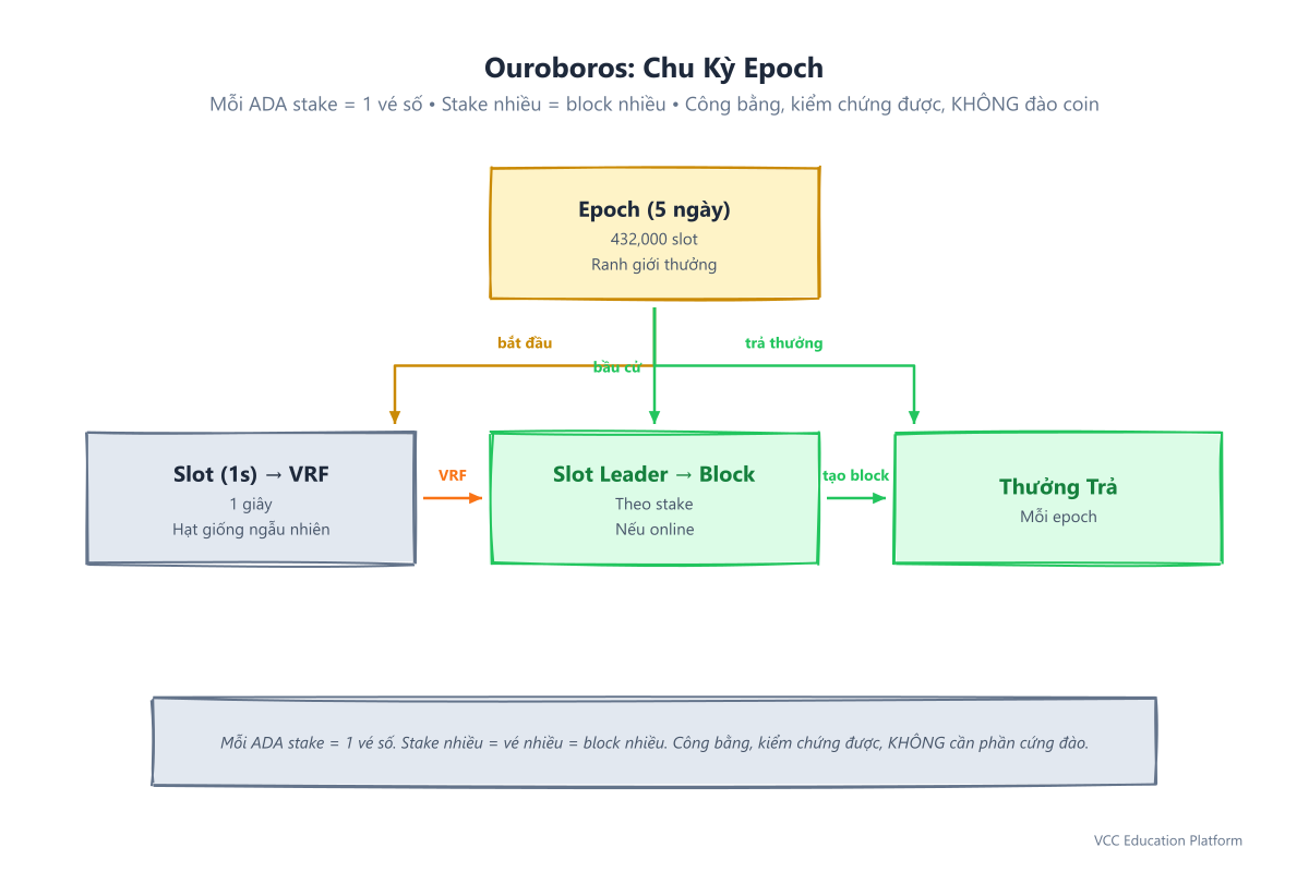Chu kỳ epoch Ouroboros: epoch → slot → xổ số VRF → slot leader → block → thưởng