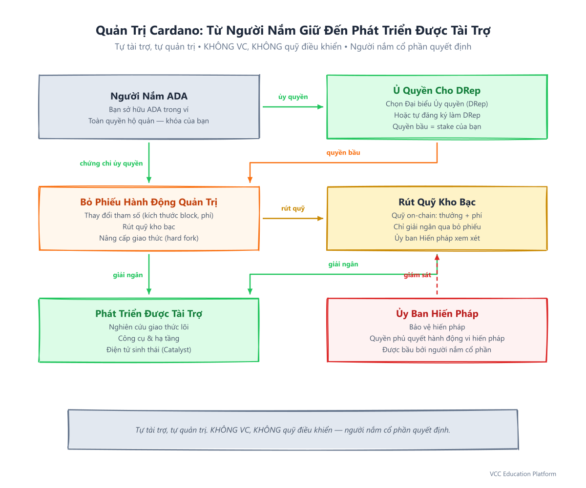 Luồng quản trị: người nắm ADA → ủy quyền DRep → bỏ phiếu đề xuất → rút kho bạc → phát triển được tài trợ