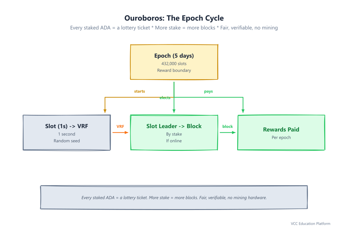 Ouroboros epoch cycle: epochs -> slots -> VRF lottery -> slot leader -> block -> rewards