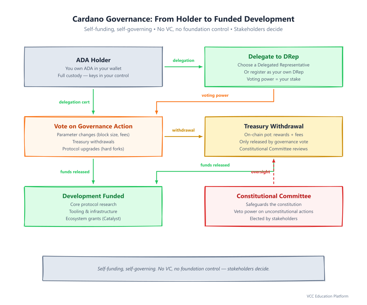 Governance flow: ADA holder -> delegates to DRep -> votes on proposal -> treasury withdrawal -> development funded